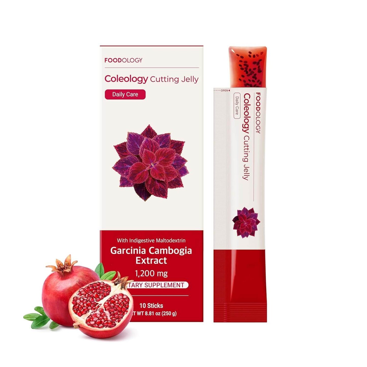 Foodology Cutting Jelly